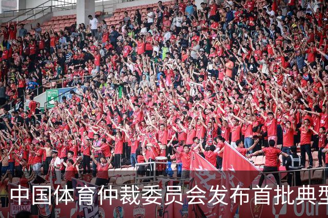 中国体育仲裁委员会发布首批典型案例