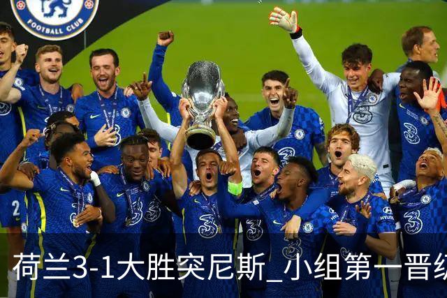 荷兰3-1大胜突尼斯 小组第一晋级淘汰赛将战摩洛哥